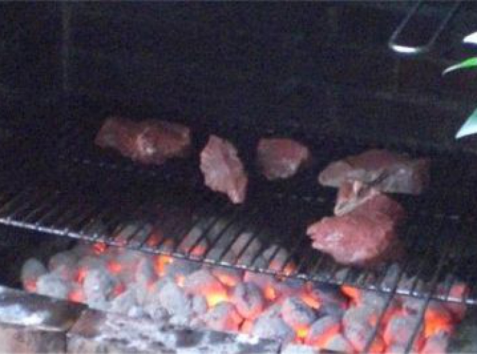 Franks Geburtstagsgrillen