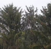 Katastrophenunwetter
