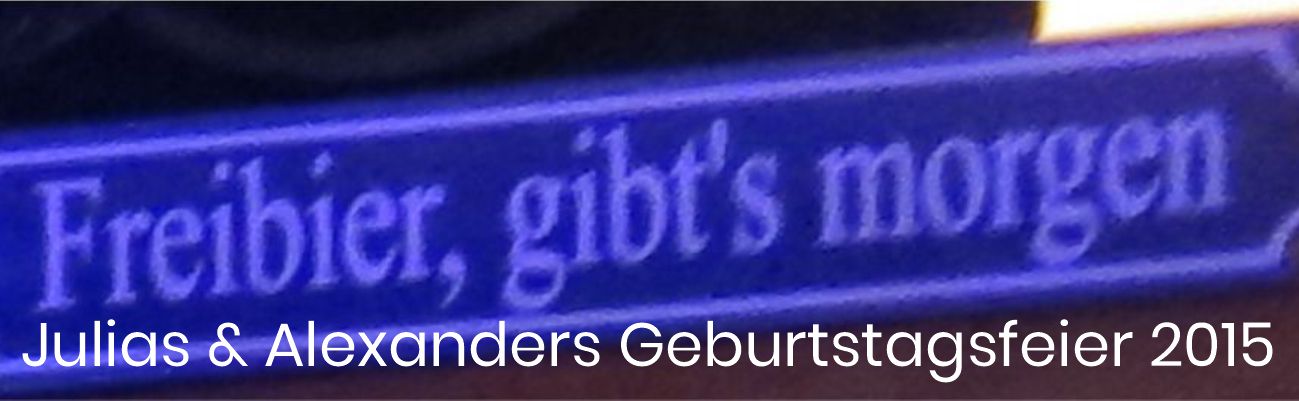 Julias und Alexanders Geburtstagsfeier 2015